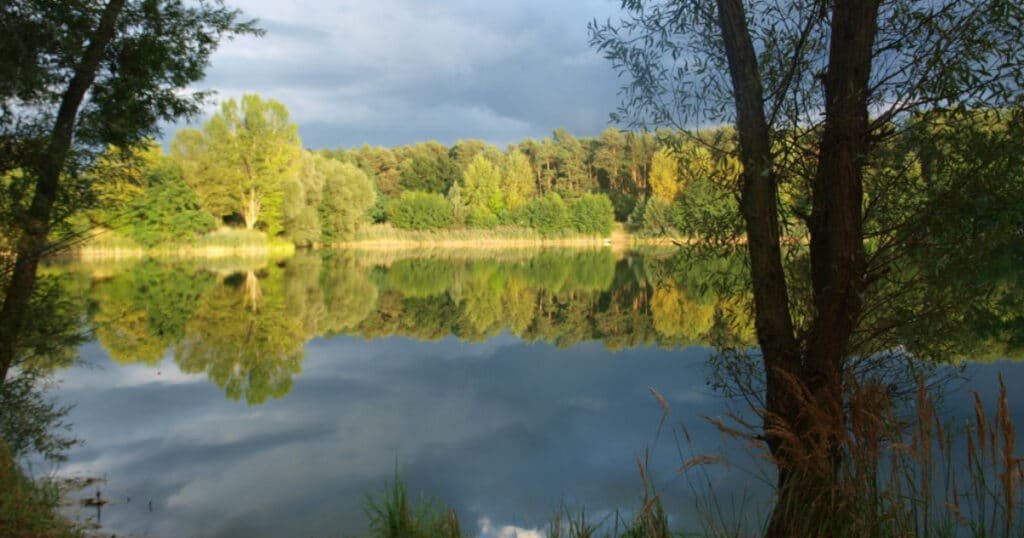 Jezero SUMČÁK - sportovní lov sumců