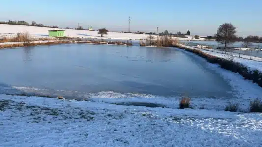 9516337B-6A72-4F3E-AC81-0696EAF88E60-scaled