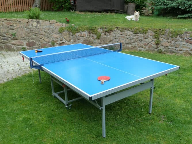 pingpong