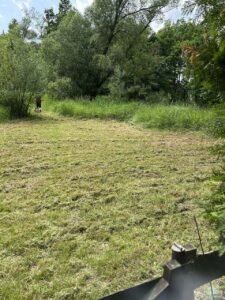 cesta-k-rece-cef6-