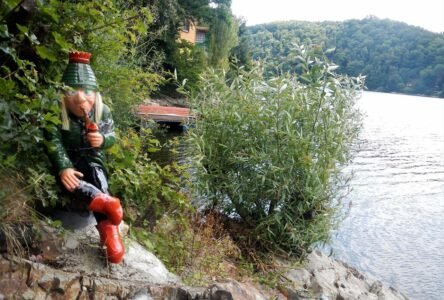 hlidac-c-47-porybny-ktery-nekontroluje-d6cb-
