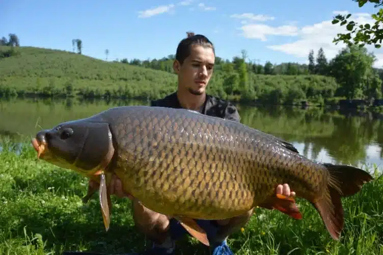 Pansky-rybnik-3-kopie