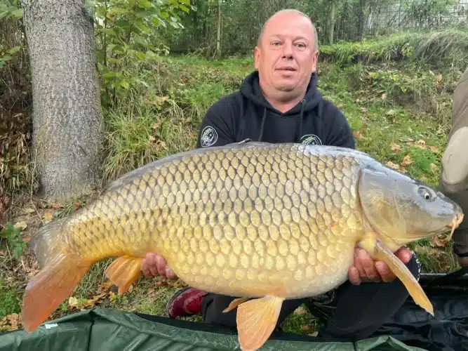 d5bbe288-8d07-4990-b1a2-a5b60936eaa6