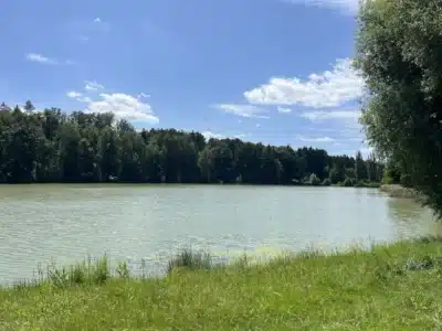 a5f41e96-985c-4559-a16e-2a1120a67d23-1