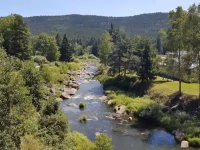 b-img-59de3c9fbf85b-1