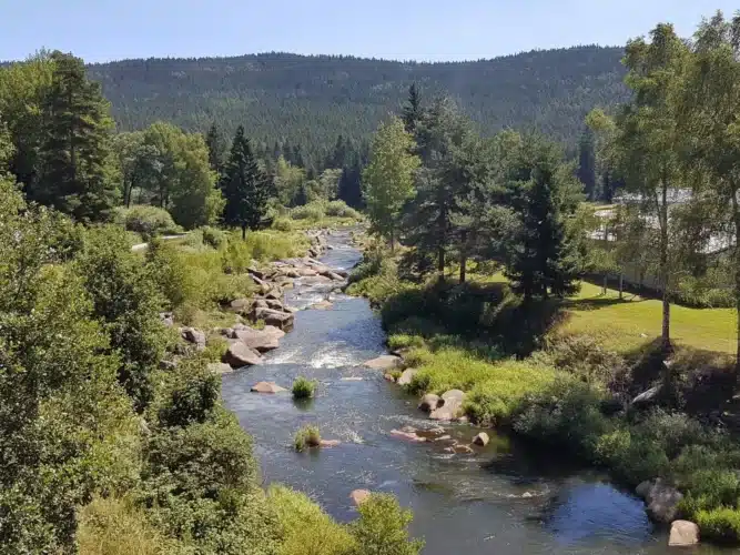 b-img-59de3c9fbf85b-1