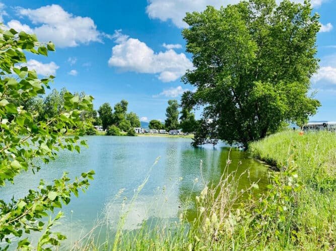 476632191_1192023296260009_3868003726537536411_n