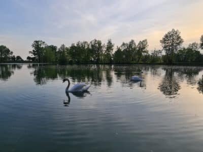 486524619_1229601102502228_1435889172425998372_n