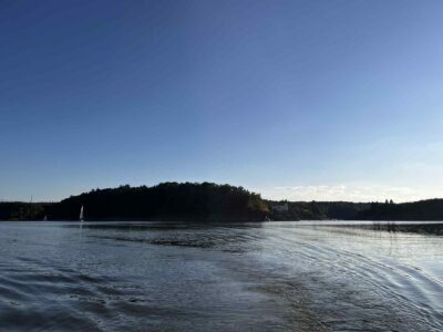 84d2890e-24ec-4a99-9407-5ab1b8abcbd0