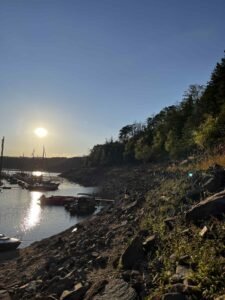 dbe1fa12-aafd-42ed-a471-4563490fabaf