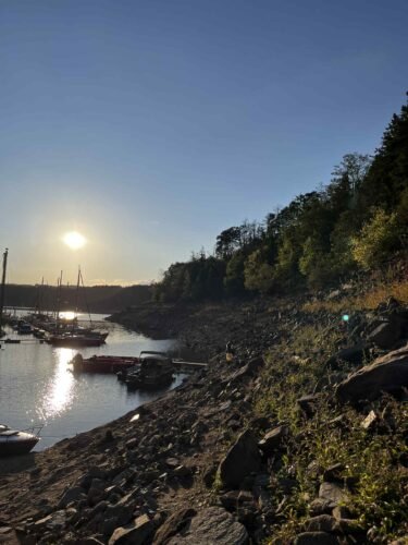 dbe1fa12-aafd-42ed-a471-4563490fabaf