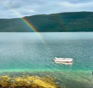image8-1-1