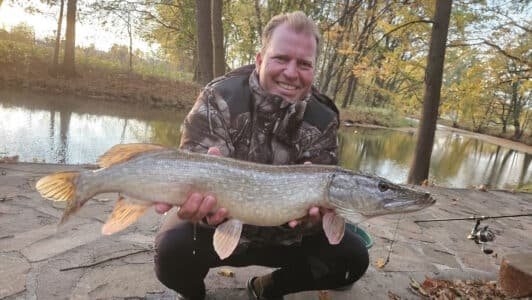 IMG-20251026-WA0004-1