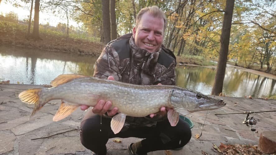 IMG-20251026-WA0004-1