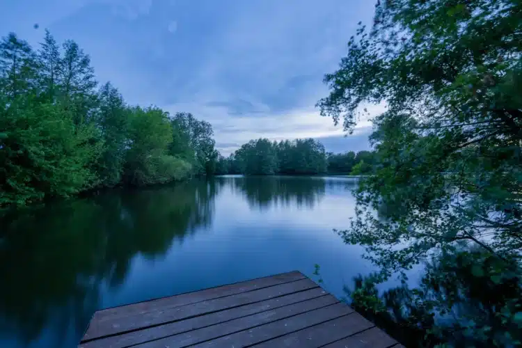 DSC02768-HDR
