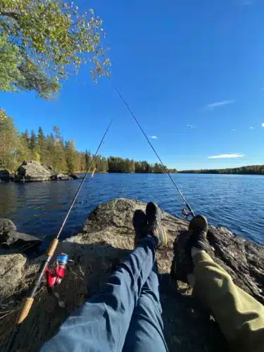 01766e59-9353-428b-83c8-78ae0d48d7b6