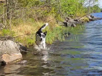 WhatsApp-Image-2025-05-29-at-07.58.09-2