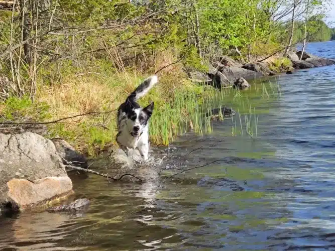 WhatsApp-Image-2025-05-29-at-07.58.09-2