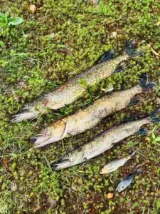 WhatsApp-Image-2025-08-07-at-16.41.38