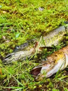 WhatsApp-Image-2025-08-07-at-16.41.39