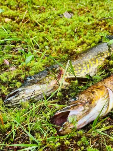 WhatsApp-Image-2025-08-07-at-16.41.39