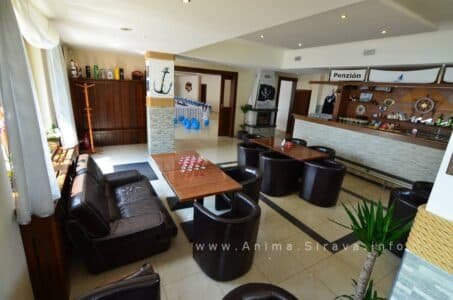 anima_restauracia_005