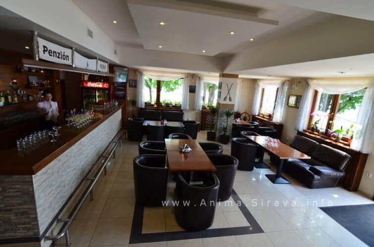 anima_restauracia_008